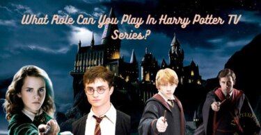 My Role In Harry Potter TV Series Quiz