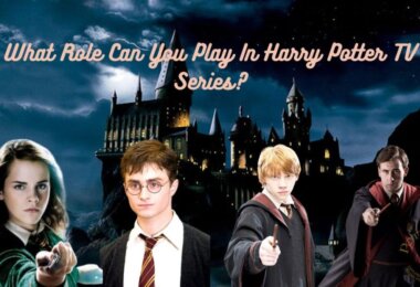 My Role In Harry Potter TV Series Quiz
