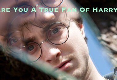 Are You A True Fan Of Harry Trivia