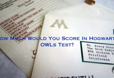 OWLs Test Quiz