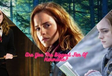 Are You The Biggest Fan Of Hermione Trivia Quiz