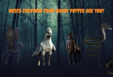 Harry Potter Creature Quiz