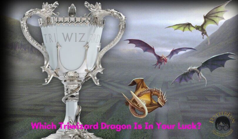 Triwizard Dragon Quiz