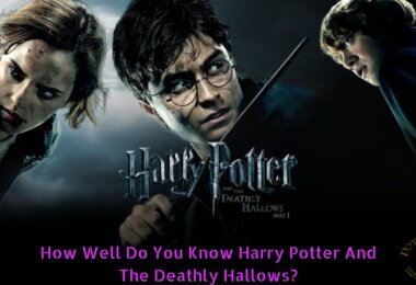 Harry Potter And The Deathly Hallows Trivia