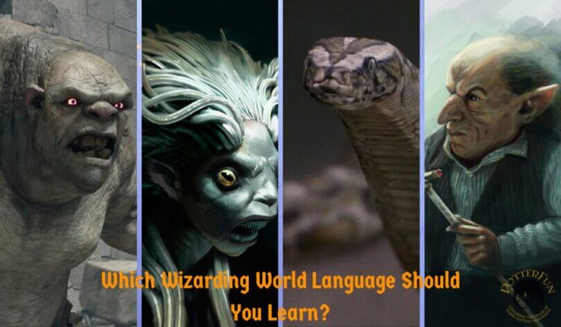Harry Potter Language Learning Quiz