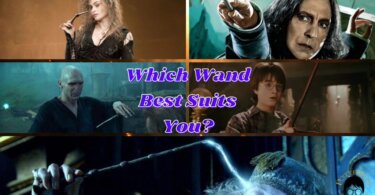 Harry Potter Wand Quiz