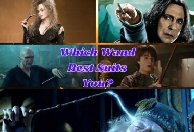 Harry Potter Wand Quiz