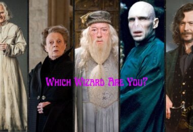 Which Famous Wizard Are You Quiz