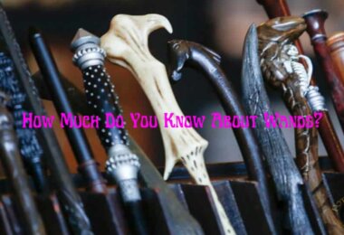 Harry Potter Wands Trivia