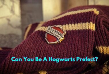 Hogwarts Prefect Quiz