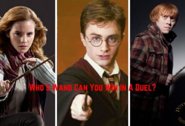 Win A Wand Quiz