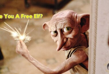 Are You A Free Elf Quiz