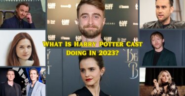 What Is Harry Potter Cast Doing In 2023