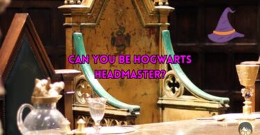 Can You Be Hogwarts' Headmaster Quiz