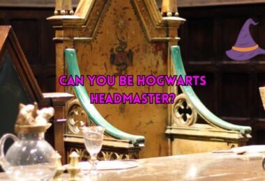 Can You Be Hogwarts' Headmaster Quiz