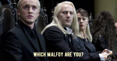 The Malfoy Family Quiz