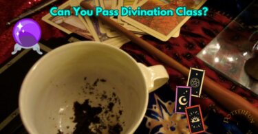 Divination Class Quiz