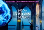 Everything About Harry Potter Visions