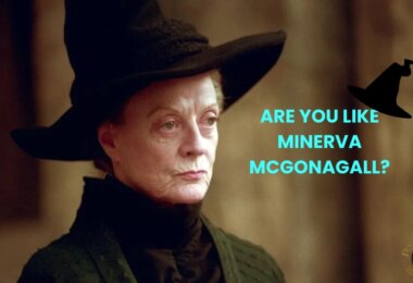 Am I Like Minerva McGonagall Quiz
